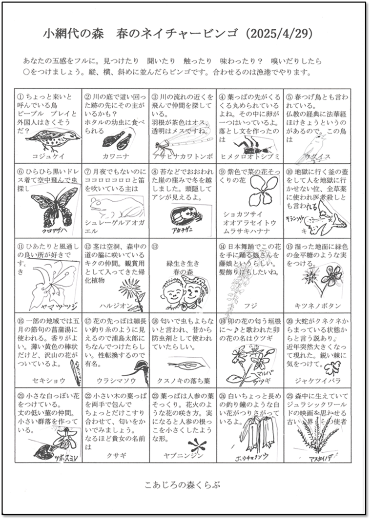 春のネイチャービンゴシート