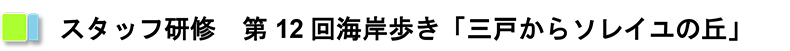 スタッフ研修　第12回海岸歩き「三戸からソレイユの丘」