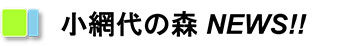 小網代の森NEWS
