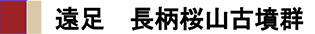 遠足　長柄桜山古墳群